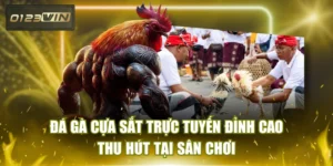 Đá Gà Cựa Sắt Trực Tuyến Đỉnh Cao Thu Hút Tại Sân Chơi