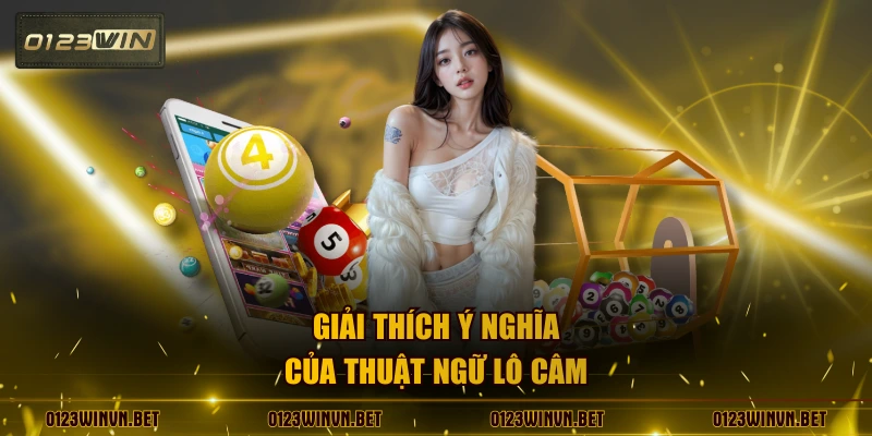 Giải thích ý nghĩa của thuật ngữ lô câm