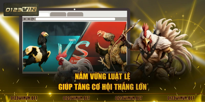 Nắm vững luật lệ giúp tăng cơ hội thắng lớn