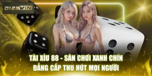 Tài Xỉu 88 - Sân Chơi Xanh Chín Đẳng Cấp Thu Hút Mọi Người