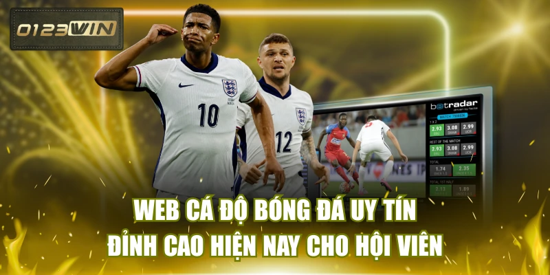 Web Cá Độ Bóng Đá Uy Tín Đỉnh Cao Hiện Nay Cho Hội Viên